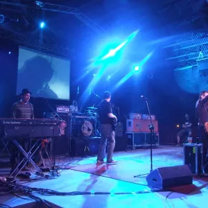 Zdjęcie Koncert - Wilki 4