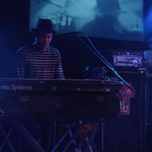 Zdjęcie Koncert - Wilki 5