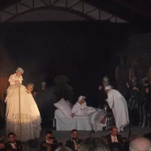 Zdjęcie Skrzypek na dachu 8