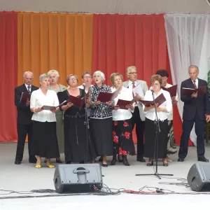 Zdjęcie IX Przegląd Twórczości Seniorów 4