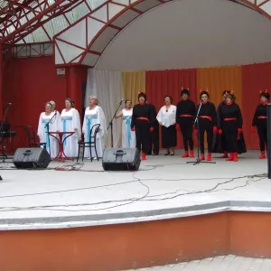 Zdjęcie IX Przegląd Twórczości Seniorów 6