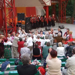Zdjęcie IX Przegląd Twórczości Seniorów 13