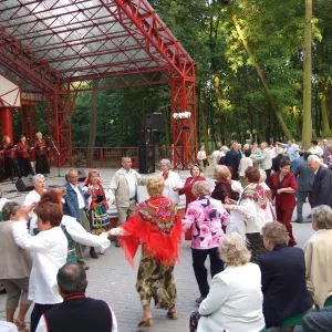 Zdjęcie IX Przegląd Twórczości Seniorów 14