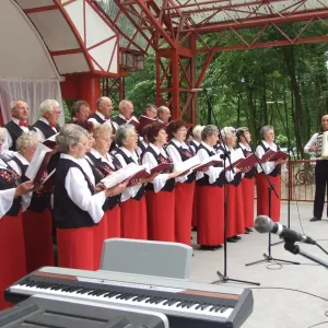 Zdjęcie IX Przegląd Twórczości Seniorów 17