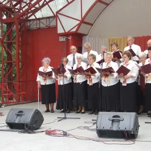 Zdjęcie IX Przegląd Twórczości Seniorów 18