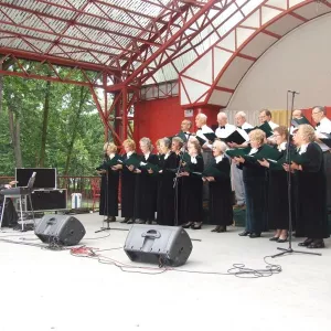 Zdjęcie IX Przegląd Twórczości Seniorów 19