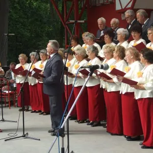 Zdjęcie IX Przegląd Twórczości Seniorów 20