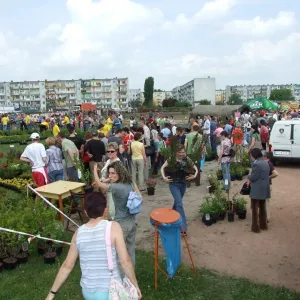 Zdjęcie IV Festiwal Recyklingu 7