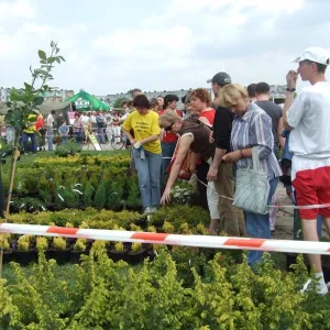 Zdjęcie IV Festiwal Recyklingu 10
