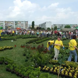 Zdjęcie IV Festiwal Recyklingu 11