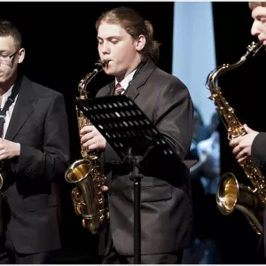 Zdjęcie Koncert Zespołów Muzycznych PSM I-st. 14