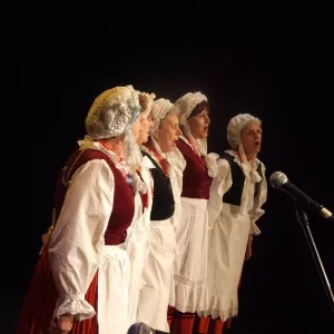 Zdjęcie Przegląd Twórczości Seniorów 2