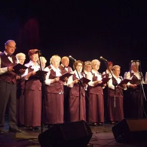 Zdjęcie Przegląd Twórczości Seniorów 3