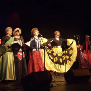 Zdjęcie Przegląd Twórczości Seniorów 5