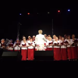 Zdjęcie Przegląd Twórczości Seniorów 6