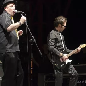Zdjęcie Koncert zespołu Czarno-Czarni 9