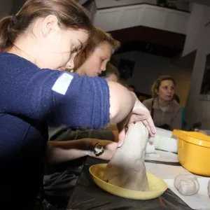 Zdjęcie Warsztaty Rzeźbiarskie 16
