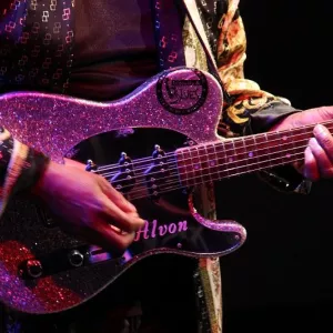 Zdjęcie Koncert Alvon Johnson Blues Band 22