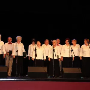 Zdjęcie Przegląd Twórczości Seniorów 9