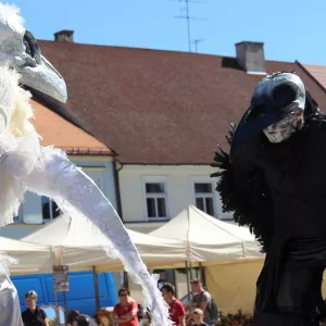 Zdjęcie Sieradzki Pchli Targ 5