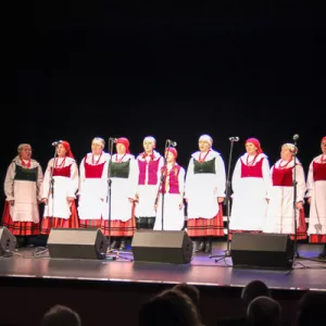Zdjęcie Przegląd Seniorów 6