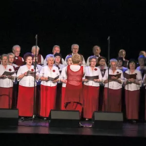 Zdjęcie Przegląd Seniorów 37