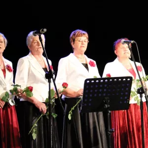 Zdjęcie Przegląd Twórczości Seniorów 2