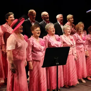 Zdjęcie Przegląd Twórczości Seniorów 14